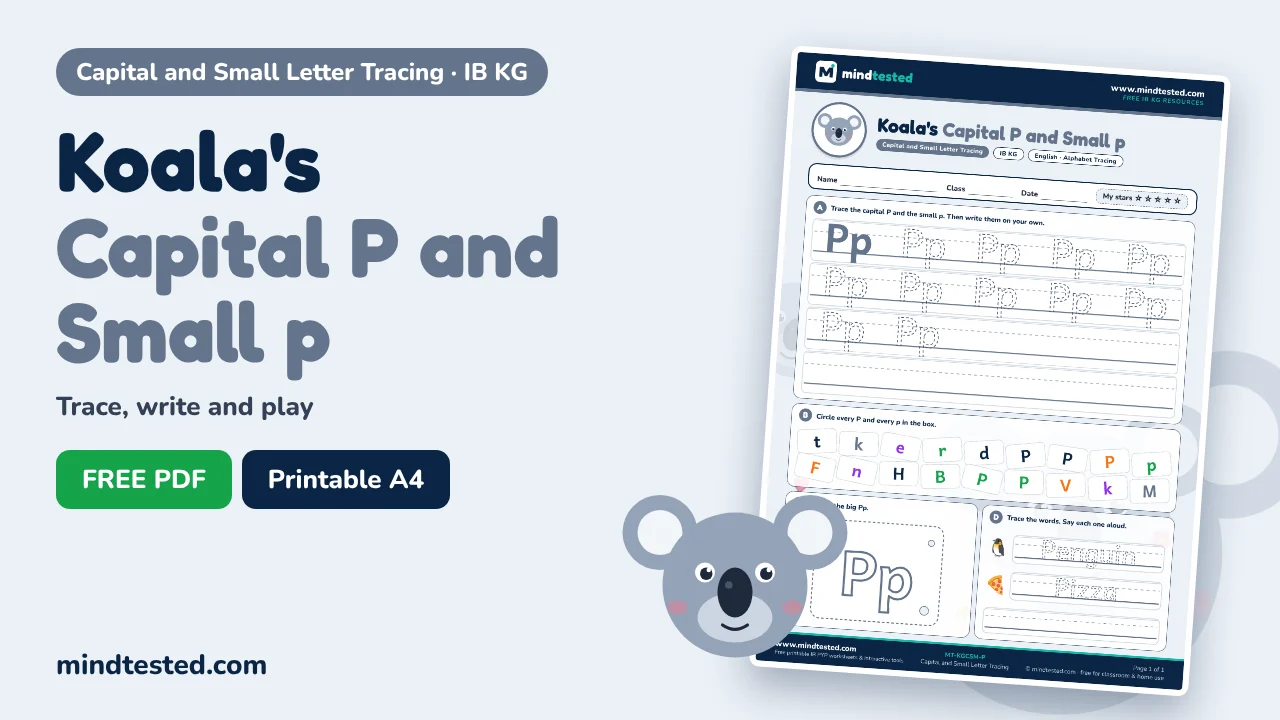 Koala's Capital P and Small p Tracing Worksheet – Capital and Small Letter Tracing (IB KG)