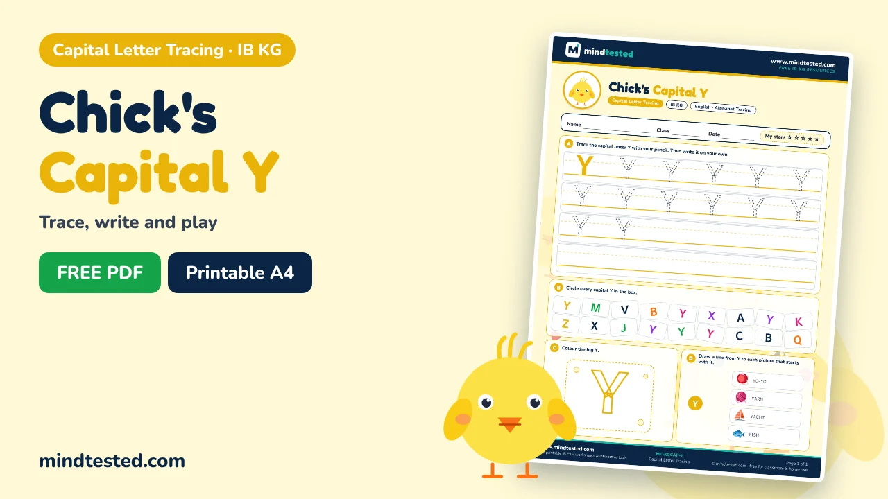 Chick's Capital Y Tracing Worksheet – Capital Letter Tracing (IB KG)