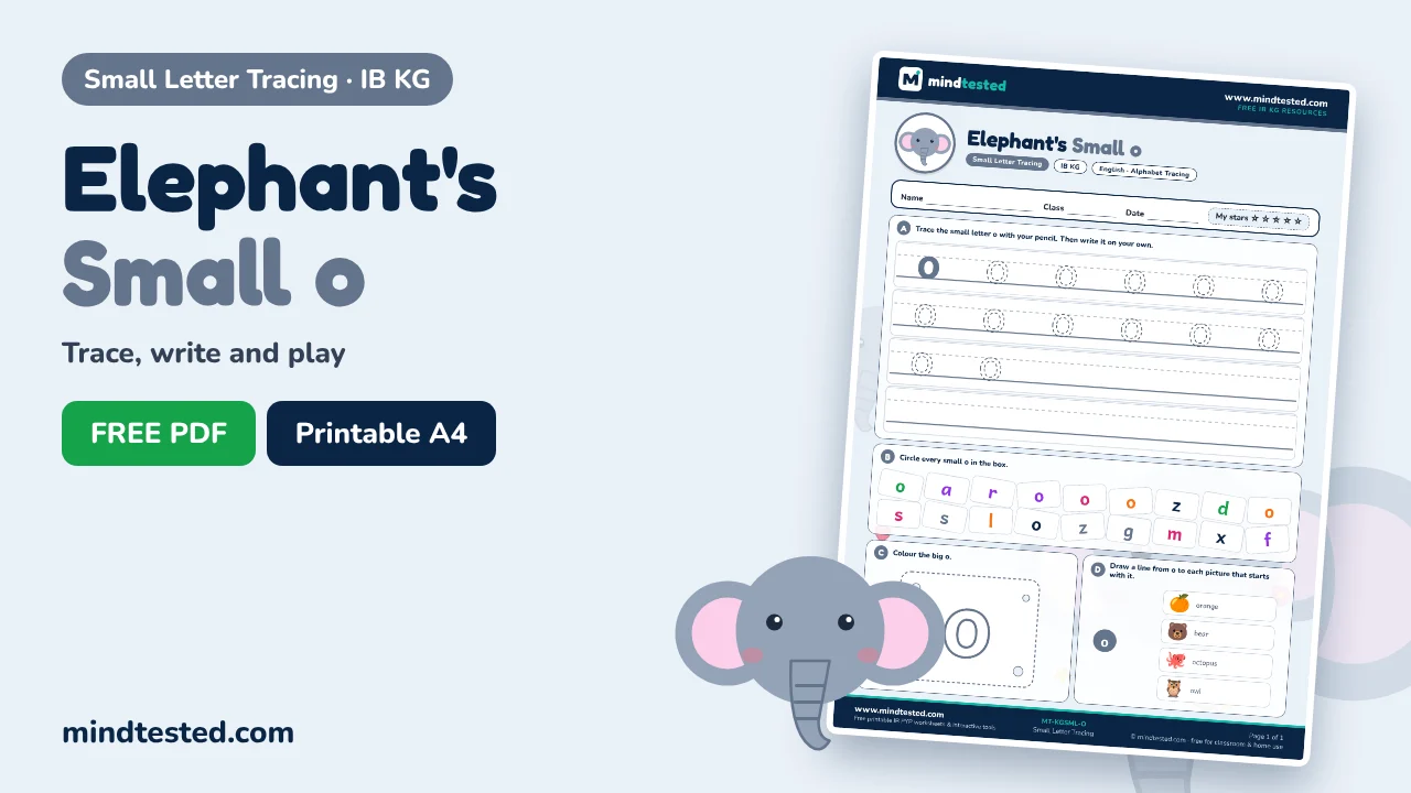 Elephant's Small o Tracing Worksheet – Small Letter Tracing (IB KG)