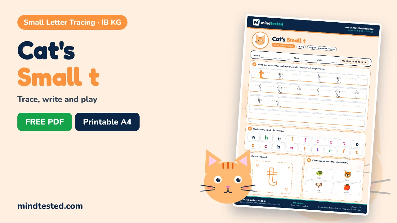 Cat's Small t Tracing Worksheet – Small Letter Tracing (IB KG)