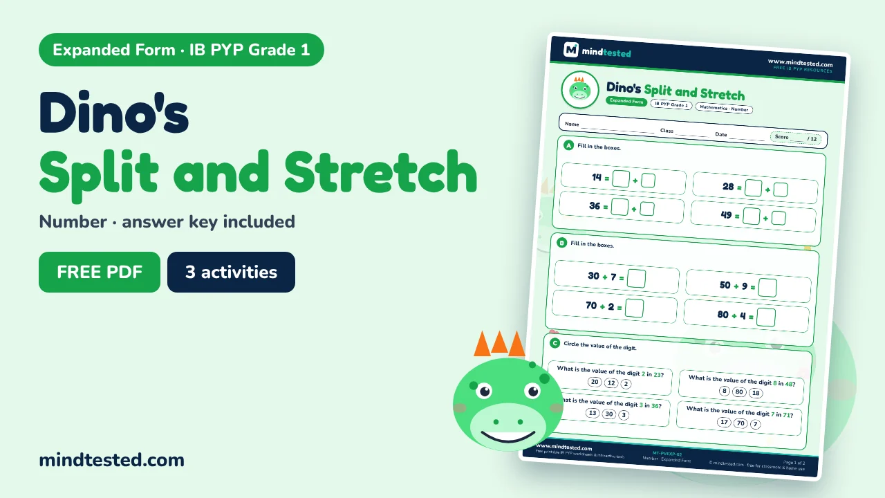 Dino's Split and Stretch – Expanded Form Worksheet (IB PYP Grade 1)