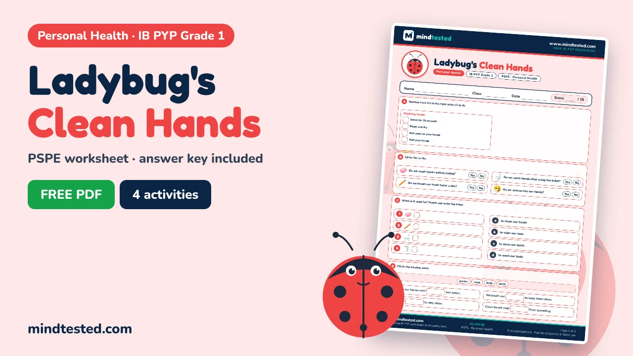 Ladybug's Clean Hands – Personal Health Worksheet (IB PYP Grade 1 PSPE)