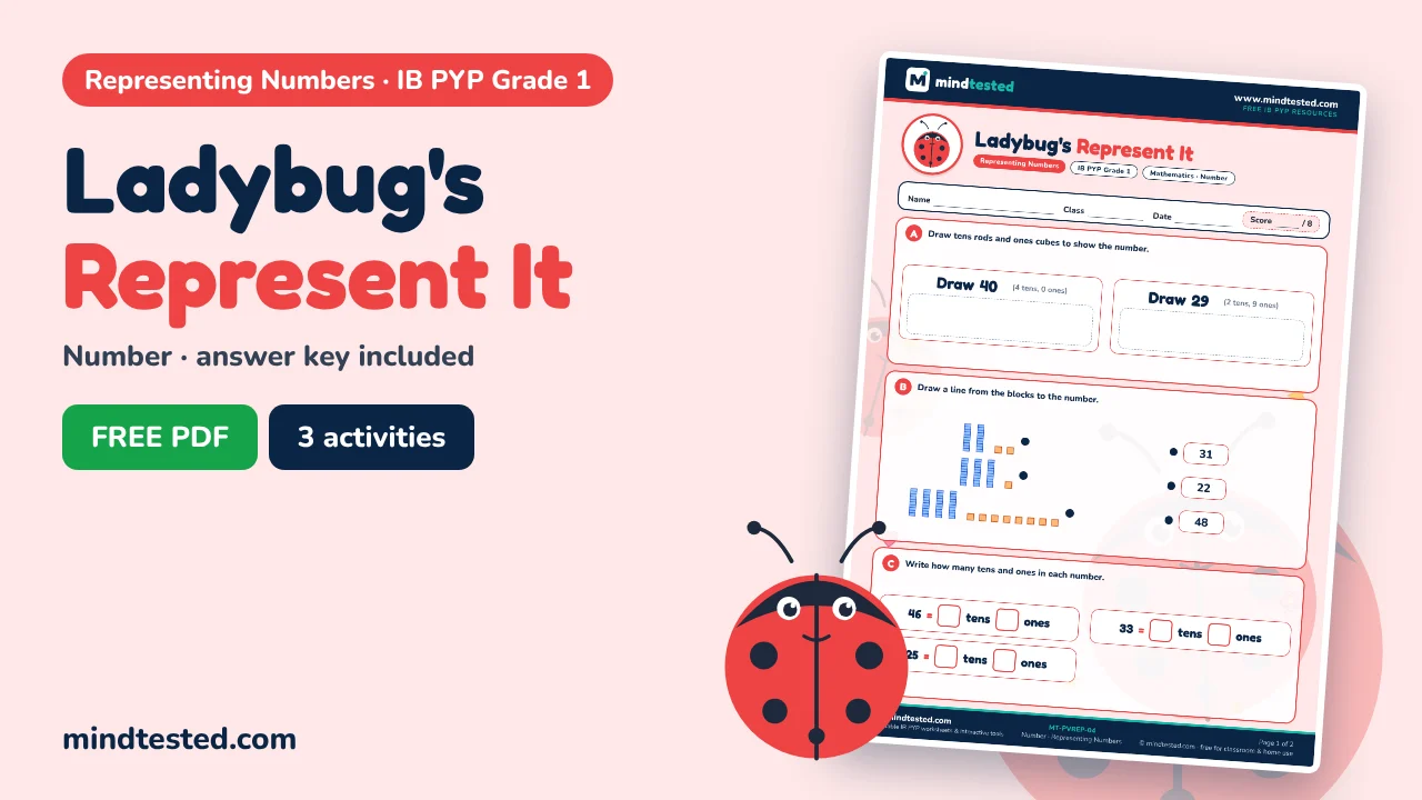Ladybug's Represent It – Representing Numbers Worksheet (IB PYP Grade 1)